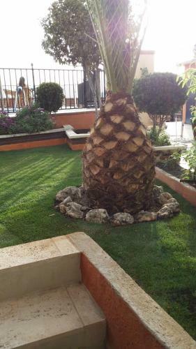 Hostal Chinchon