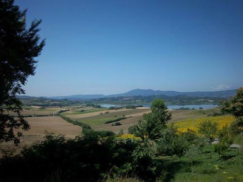 Coltorto