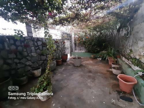 Hostal Hostel Luar Do Sert�o