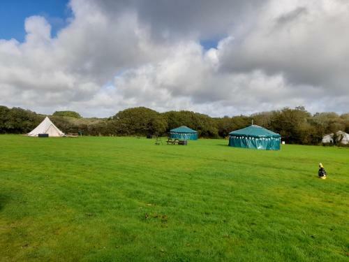Hawthorn Yurt Award Winning Wych Elm Glamping