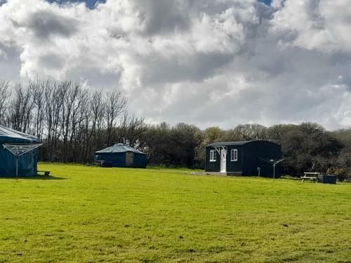 Sycamore Yurt Award Winning Wych Elm Glamping