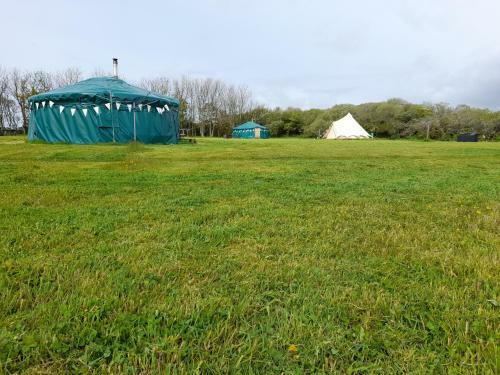 Sycamore Yurt Award Winning Wych Elm Glamping