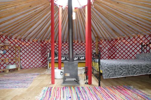 Sycamore Yurt Award Winning Wych Elm Glamping