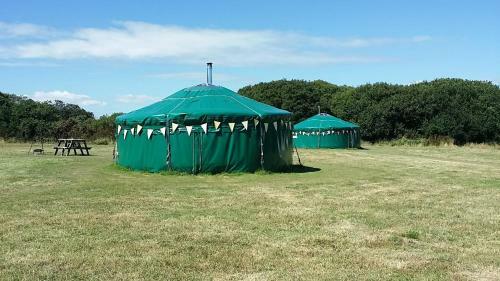 Sycamore Yurt Award Winning Wych Elm Glamping