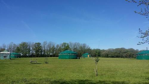Sycamore Yurt Award Winning Wych Elm Glamping