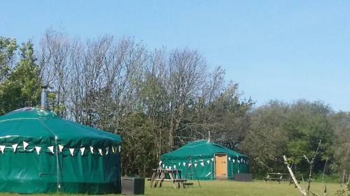Sycamore Yurt Award Winning Wych Elm Glamping