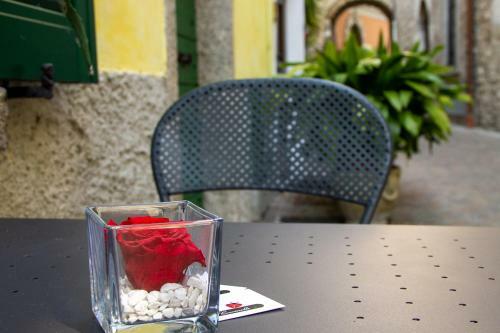Le Coccinelle Home