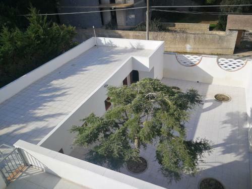 Ninnihouses