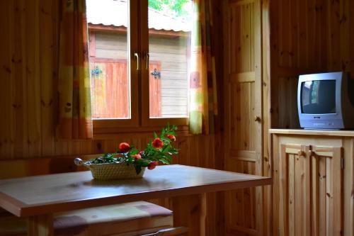 Camping Al-bereka