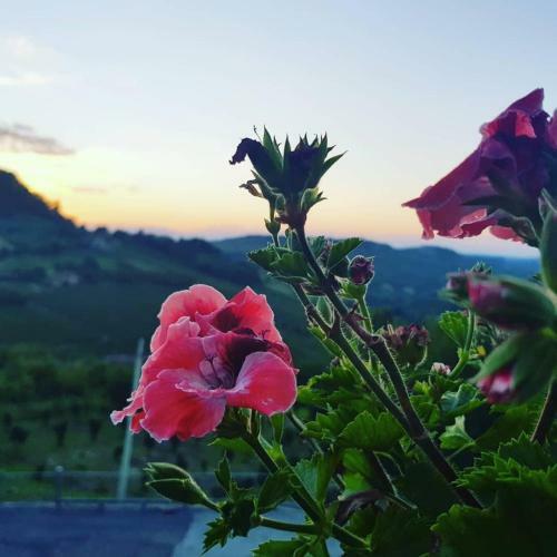 Apartamento I Catari ...nel Cuore Di Monforte D'alba