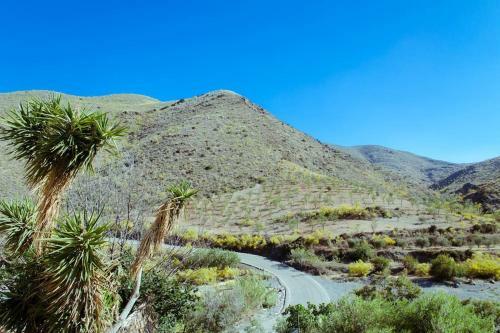 Cortijo Galera