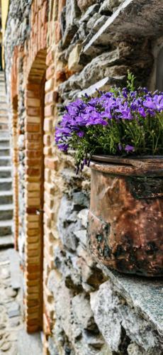 Agroturismo Agriturismo Il Medeghino