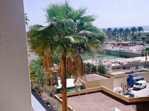 Apartamento Estrella De Mar