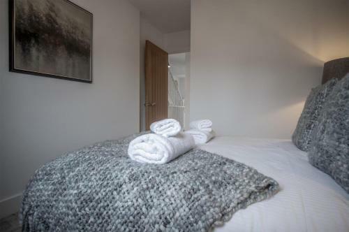 Maes Yr Orsaf - 4 Bedroom Holiday Home - Narberth