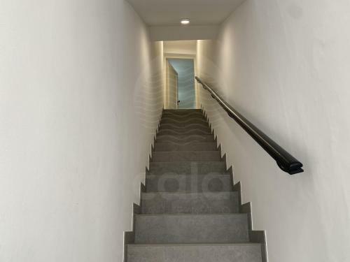 Marta's House