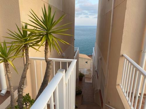 Apartamento Port Nou Fincas Van Camp