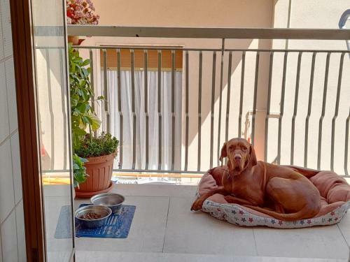 Bed & Breakfast Arcadia Polignano