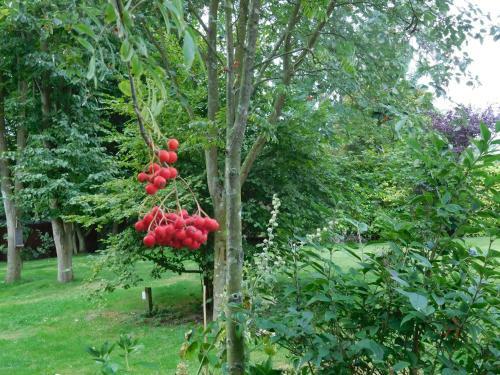Apartamento Hoot Cottage - Our Romantic Norfolk Hideaway