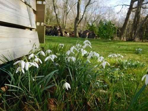 Apartamento Hoot Cottage - Our Romantic Norfolk Hideaway