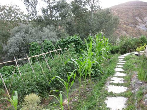 Bancal De Los P�rez