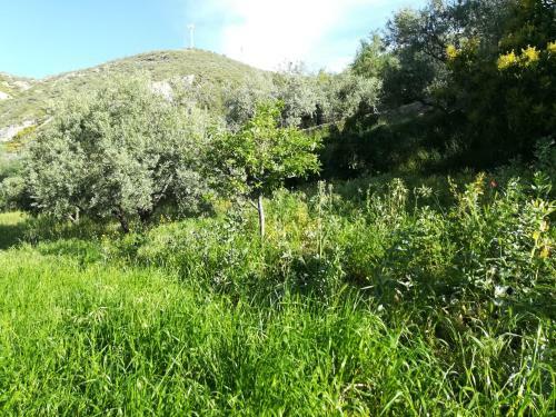 Bancal De Los P�rez
