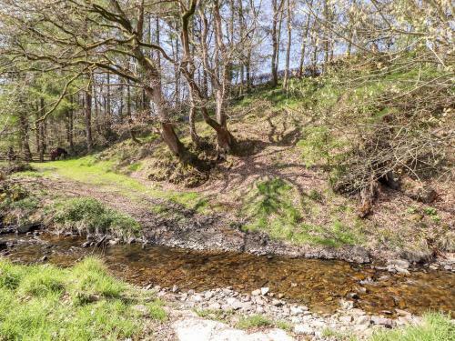 Nant Y Celyn