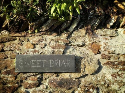 Vegan Homestay And Retreat