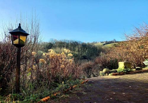 Vegan Homestay And Retreat