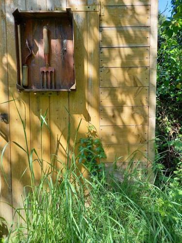 Vegan Homestay And Retreat