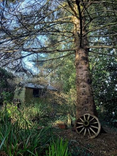 Vegan Homestay And Retreat