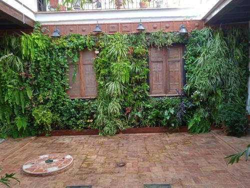 Curioso Apartamento Tipo Loft de 25 M Cuadrados