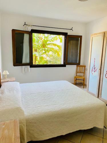 Casa Strelitzia