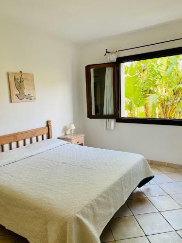 Casa Strelitzia