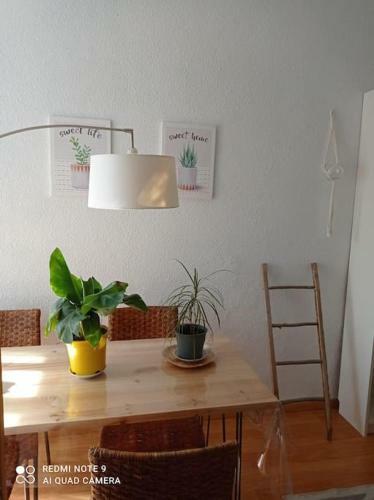 Apartamento Pleno Centro de Santander Y Sin Ruido Coches,6ps!