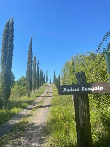 Villa Podere Fungaio - Belocations