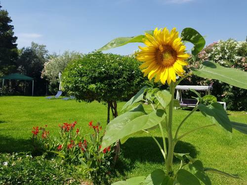 Apartamento Sunlight Country House With Pool