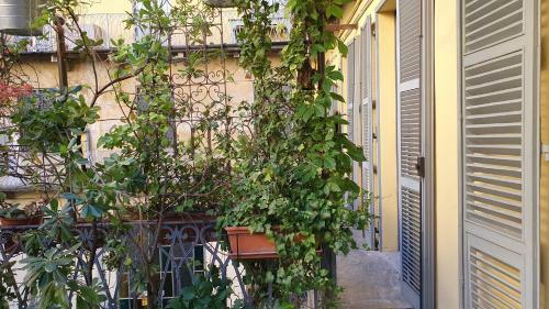 La Dimora Di Sara - Provenza