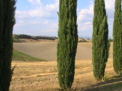 Villa Poggio Al Sole