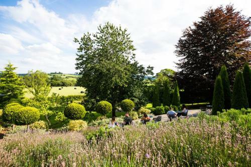 Hotel The Plough Inn