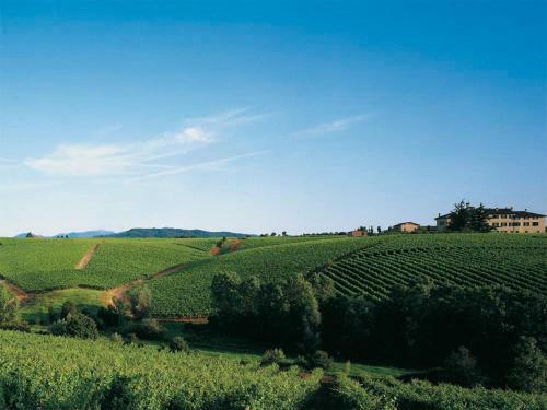 Agroturismo Agriturismo Tenuta La Marchesa