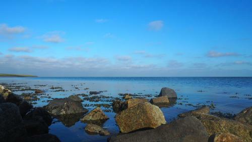 Apartamento Terschelling Natuurlijk