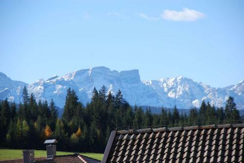 Apartamento Haus Kargruber