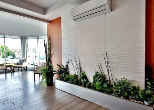 Motel Hotel Newstar