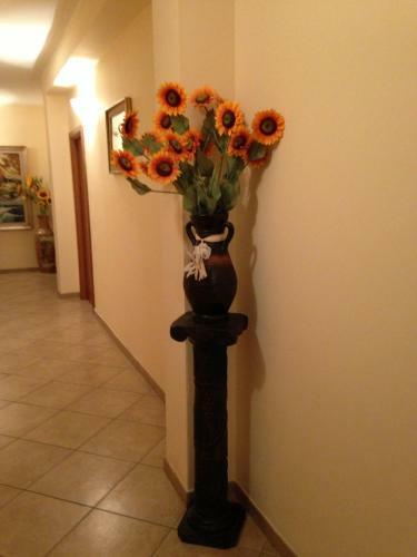 Hostal Affittacamere Flavia Roma