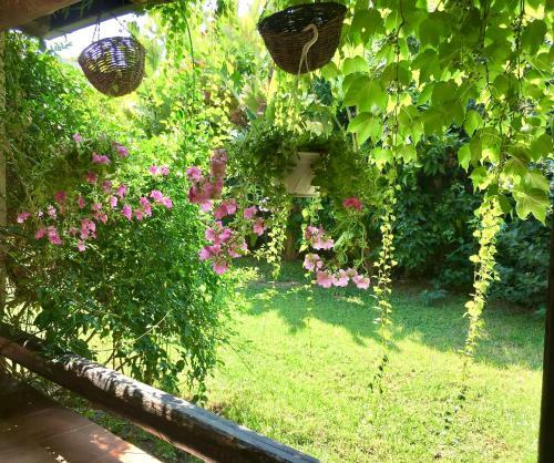 Villa Elisa