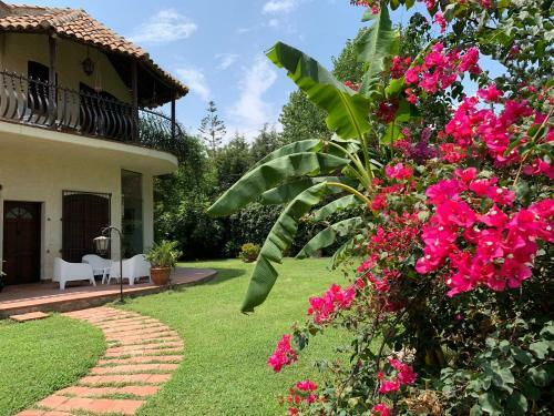 Villa Elisa