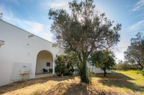 Apartamento Villa Oasis