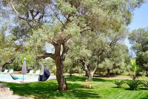 Superb Villa With Private Swimming Pool Near The Beach