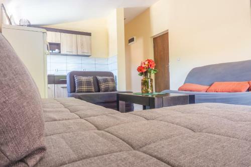 Apartments Rora
