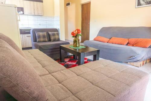 Apartments Rora